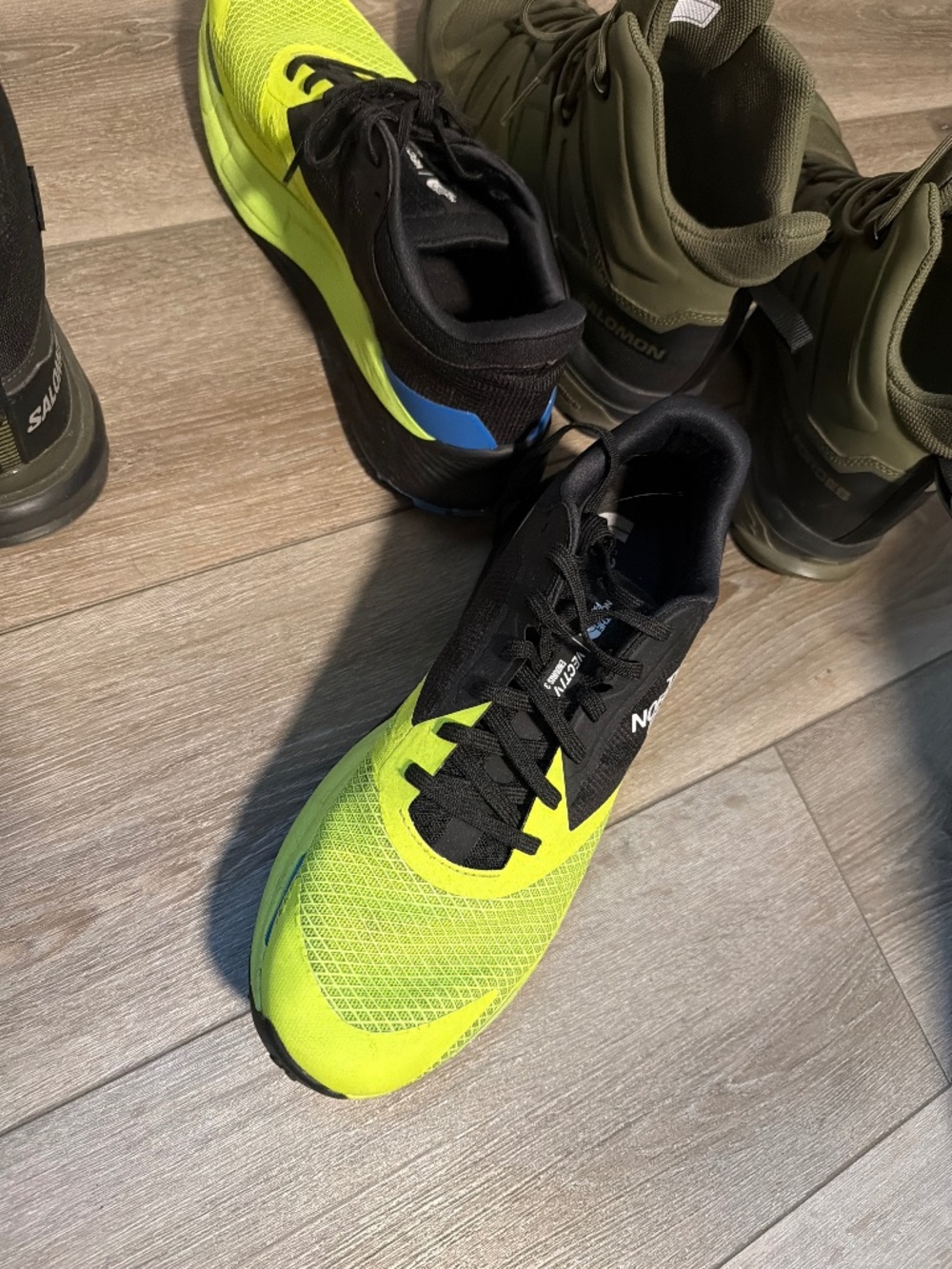 The North Face shoes